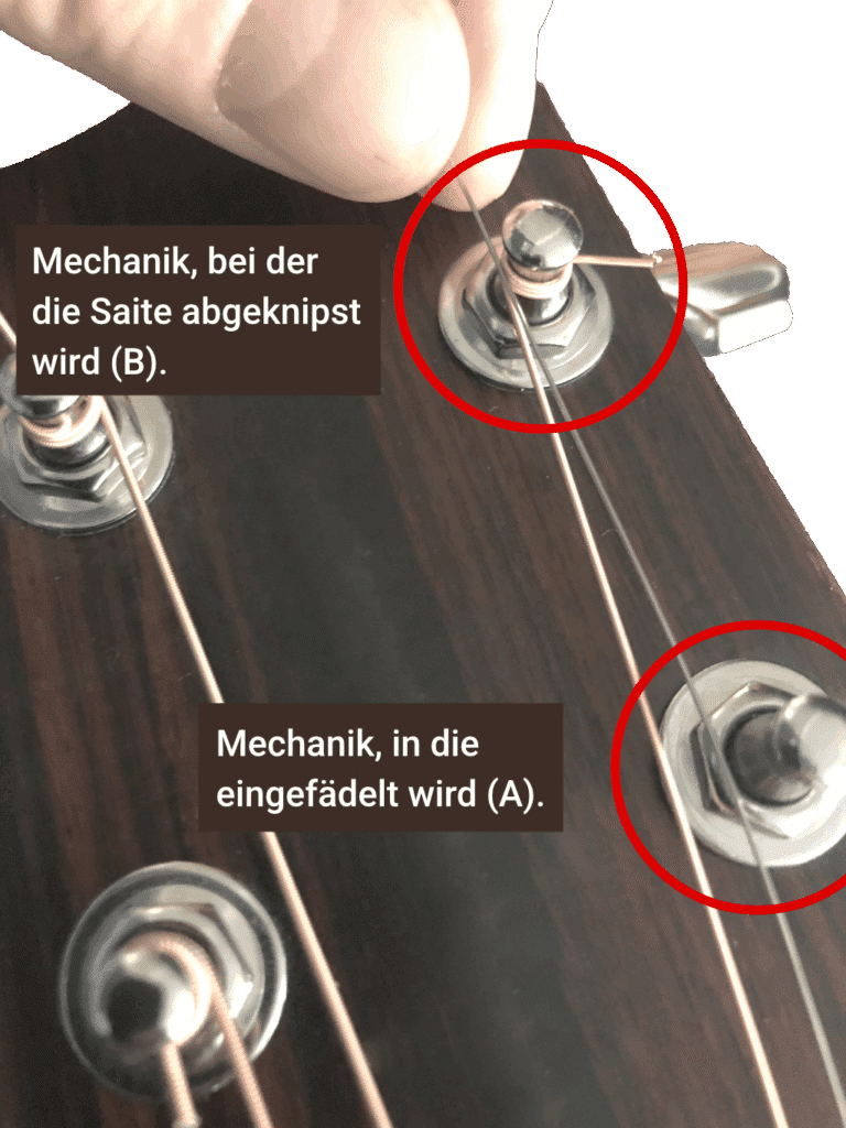 Saite kürzen