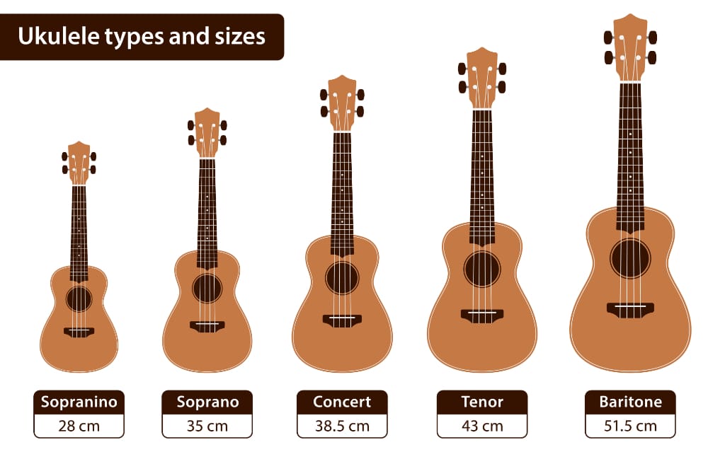 Ukulele Typen